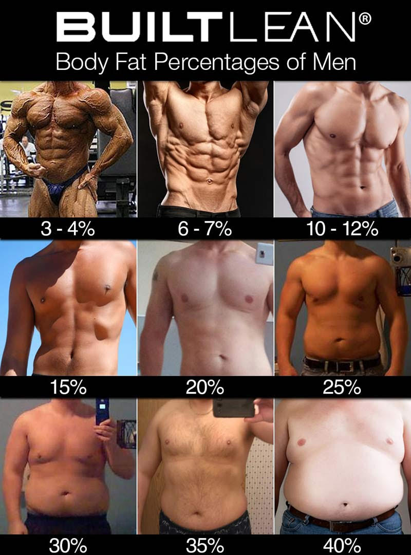 Male Bodyfat Reference Image